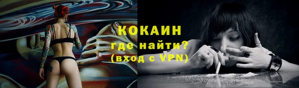 ECSTASY Дмитров