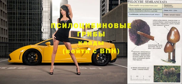 ECSTASY Дмитров