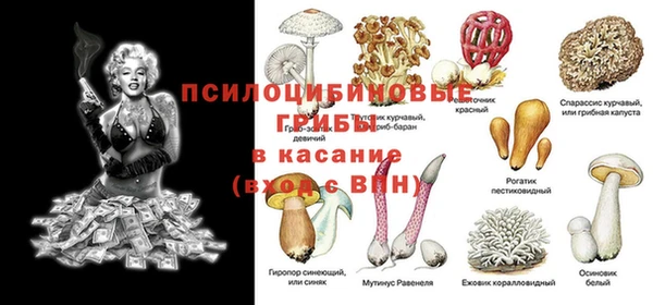 ECSTASY Дмитров