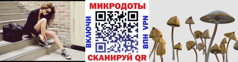 omg онион  Камышлов  Псилоцибиновые грибы Cubensis  как найти  